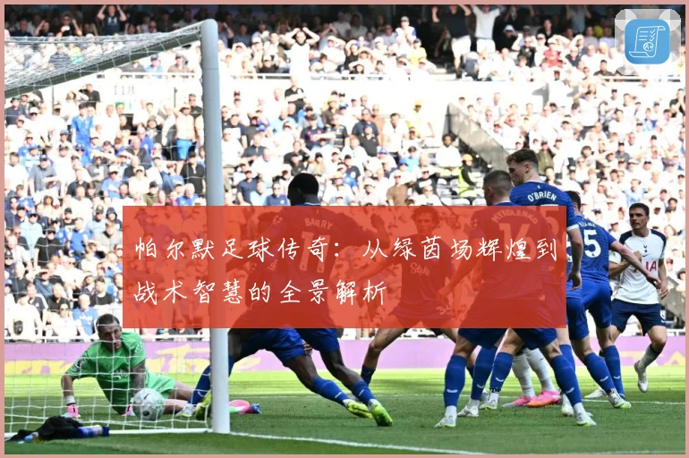 帕尔默足球传奇：从绿茵场辉煌到战术智慧的全景解析