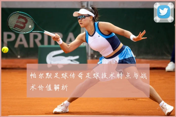 帕尔默足球传奇足球技术特点与战术价值解析