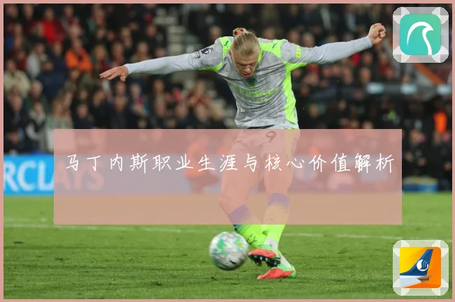 马丁内斯职业生涯与核心价值解析