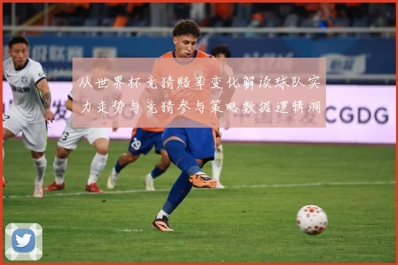 从世界杯竞猜赔率变化解读球队实力走势与竞猜参与策略数据逻辑洞数据研判